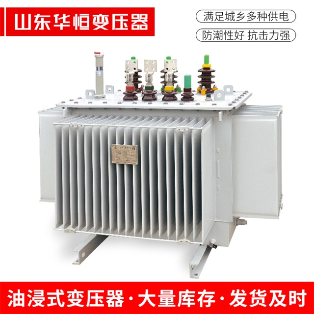 S13-10000/35颍东颍东颍东电力变压器